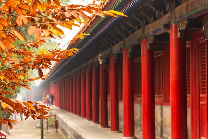 柱示意图